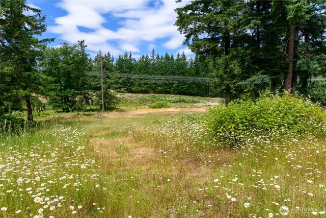 a view of a yard with a tree