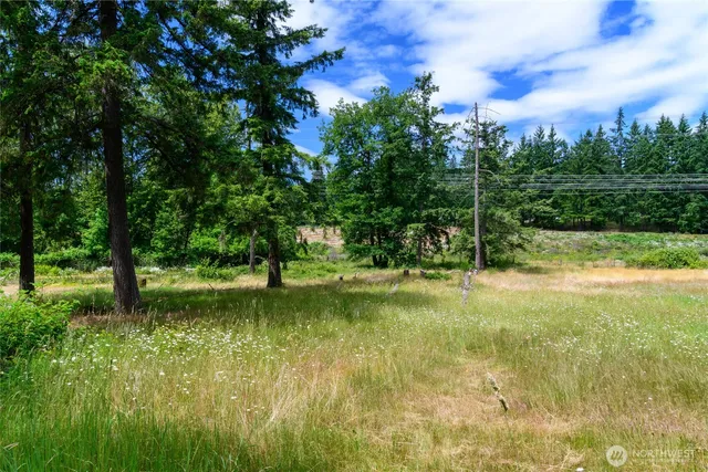 a view of yard with green space