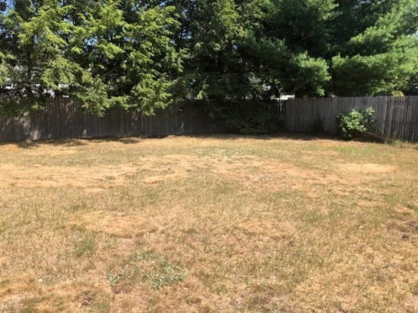 216 Mallowhill Road Springfield, MA 01129 - Photo 14 of 15 a view of yard