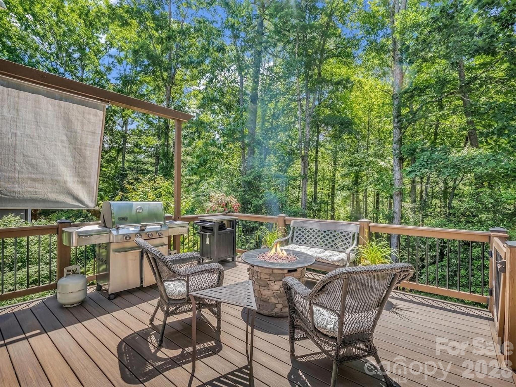 1042 Columbine Road Asheville, NC 28704 - Photo 46 of 48
