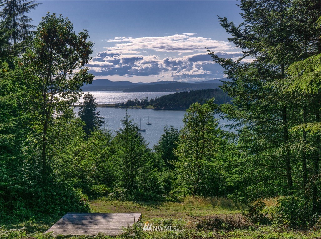 Lot#9 Rum Rummer Road Lopez Island, WA 98261 - Photo 1 of 12 Gallery Image 1