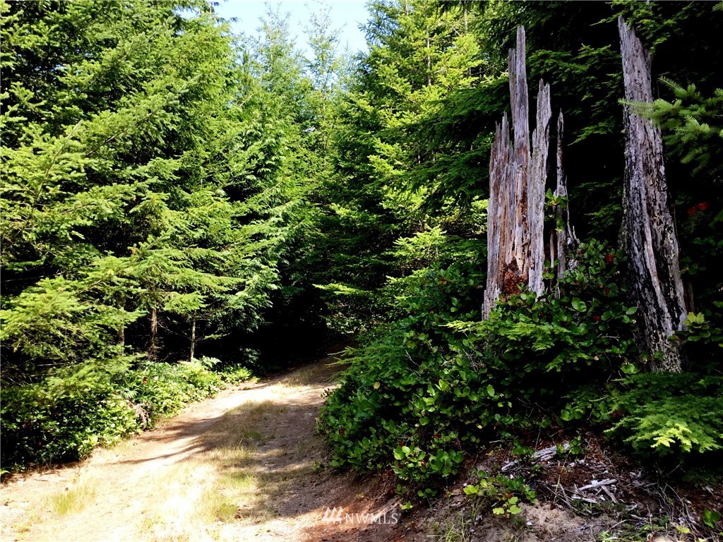 Lot#9 Rum Rummer Road Lopez Island, WA 98261 - Photo 2 of 12 Gallery Image 2