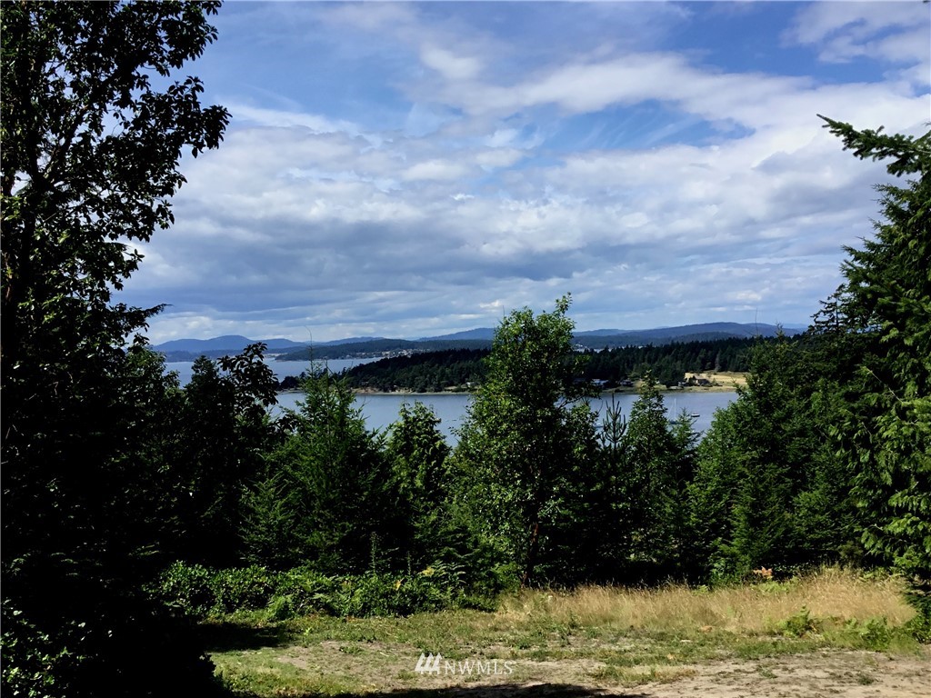 Lot#9 Rum Rummer Road Lopez Island, WA 98261 - Photo 12 of 12 Gallery Image 12