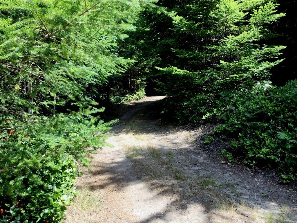 Lot#9 Rum Rummer Road Lopez Island, WA 98261 - Photo 3 of 12 Gallery Image 3
