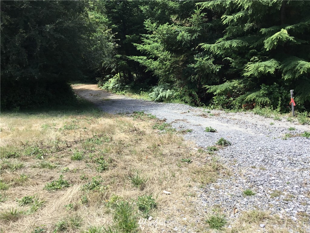 Lot#9 Rum Rummer Road Lopez Island, WA 98261 - Photo 4 of 12 Gallery Image 4