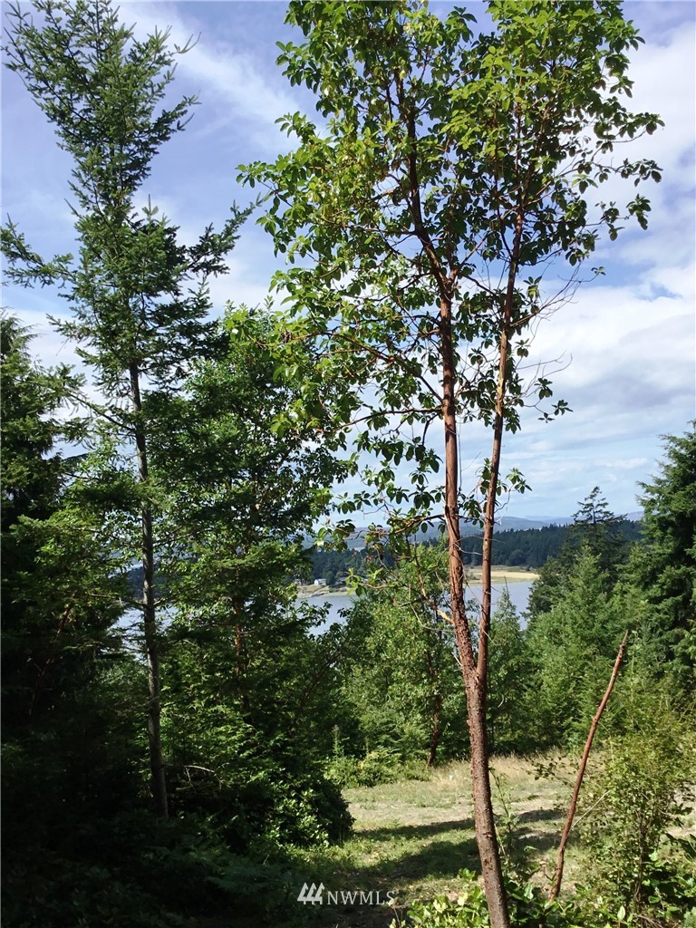 Lot#9 Rum Rummer Road Lopez Island, WA 98261 - Photo 5 of 12 Gallery Image 5