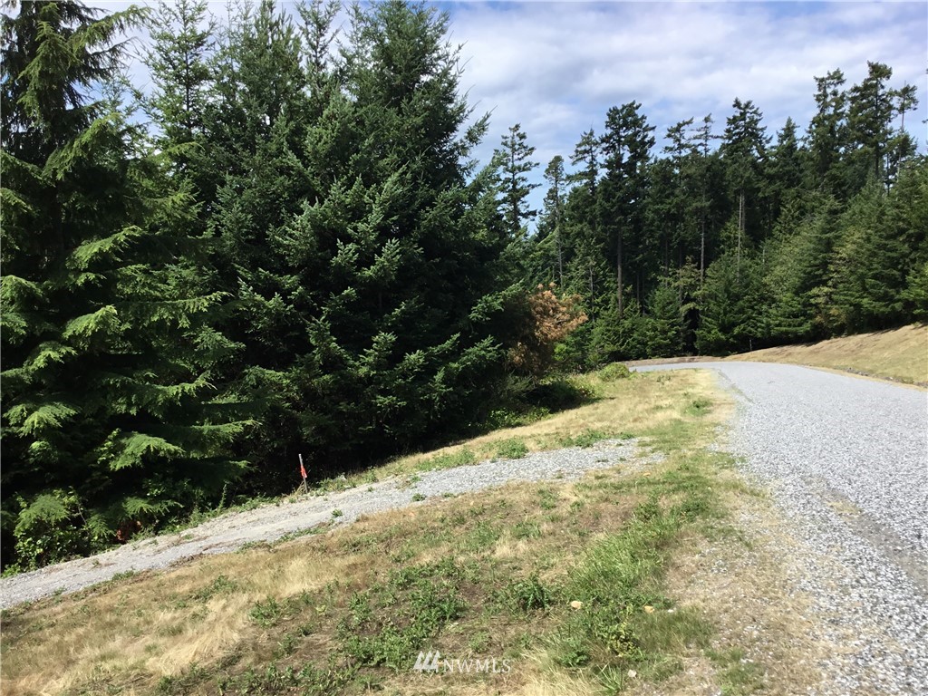 Lot#9 Rum Rummer Road Lopez Island, WA 98261 - Photo 9 of 12 Gallery Image 9