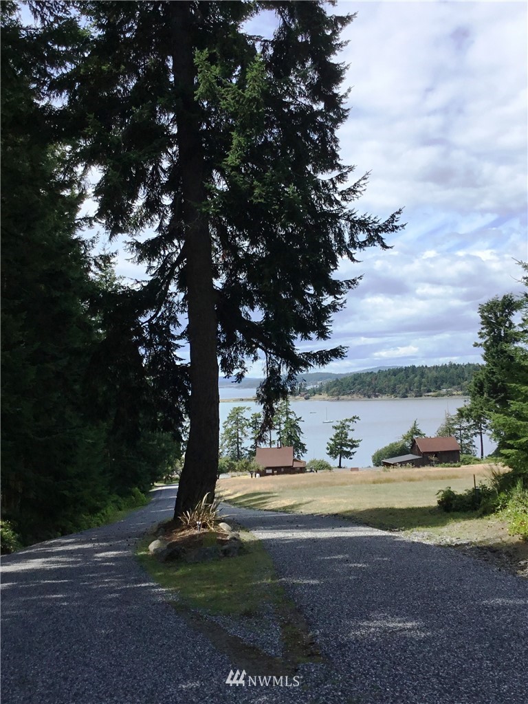 Lot#9 Rum Rummer Road Lopez Island, WA 98261 - Photo 10 of 12 Gallery Image 10