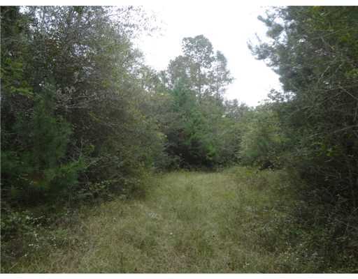 Off Off Texas Chapel Road Lumberton, MS 39455 - Photo 3 of 14 Additional Photo