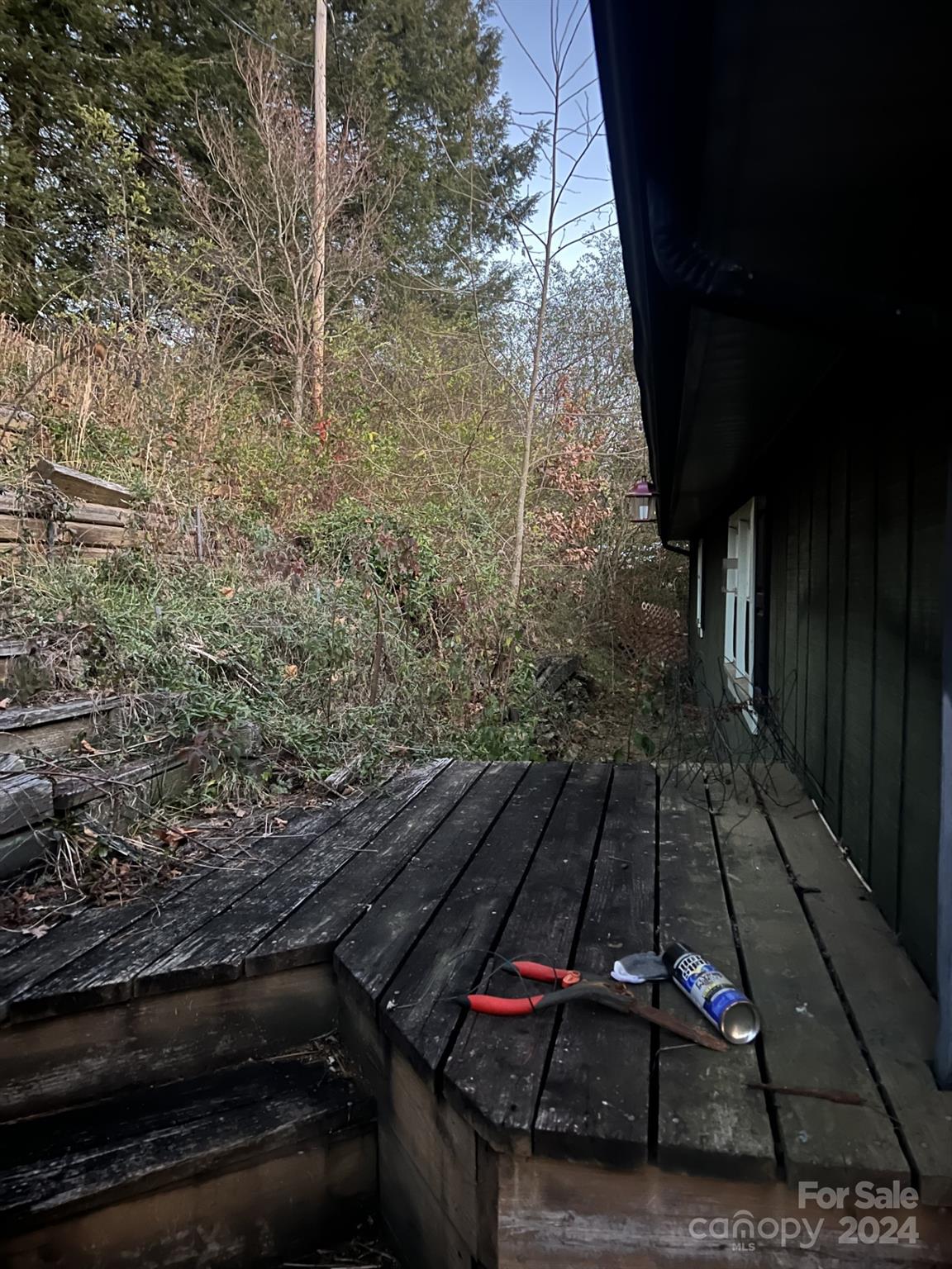 600 Hyder Mountain Road Clyde, NC 28721 - Photo 8 of 9