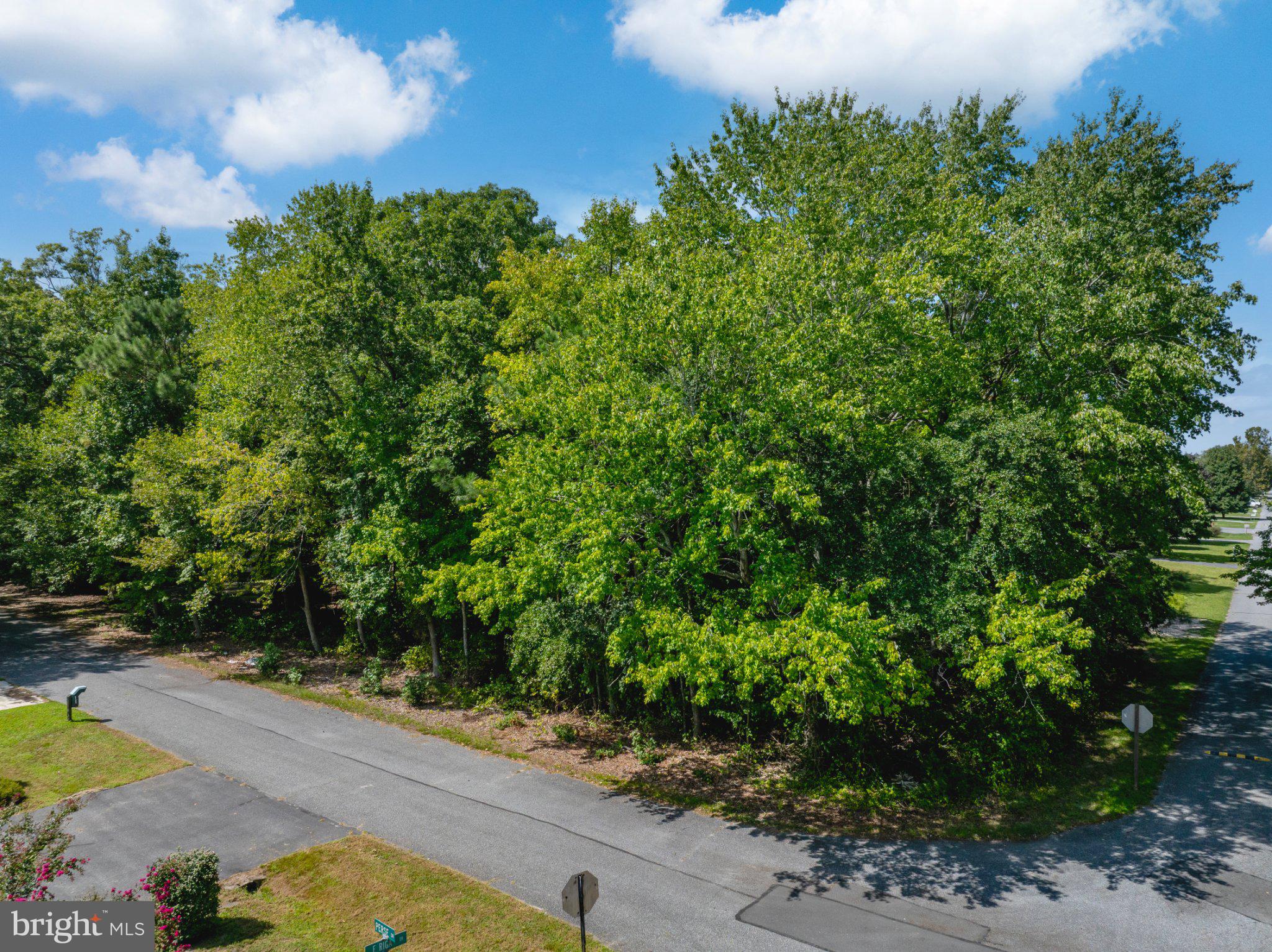 Lot 2 East Riga Drive Ocean View, DE 19970 - Photo 3 of 23 Gallery Image 3