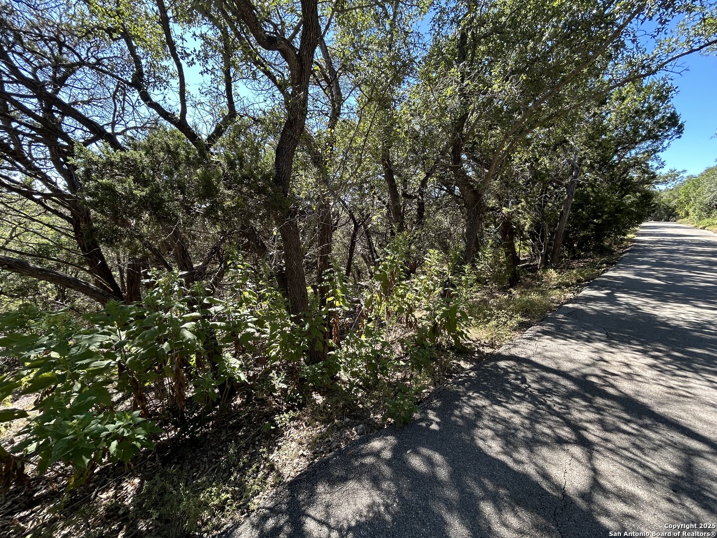 944 Olive Tree Canyon Lake, TX 78133 - Photo 6 of 8