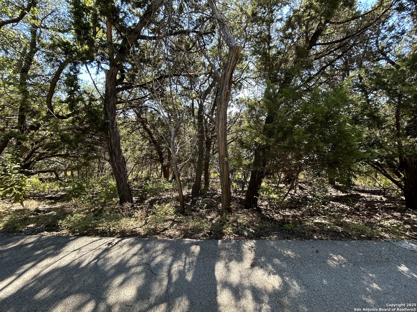 944 Olive Tree Canyon Lake, TX 78133 - Photo 7 of 8
