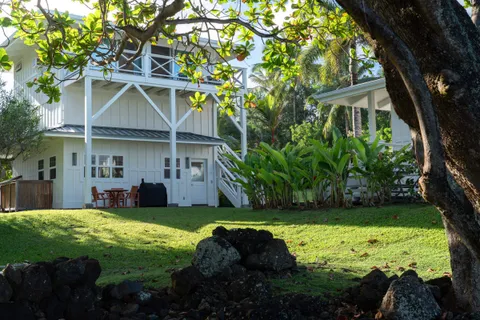 a view of a backyard with plants