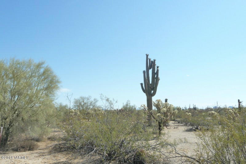 Xx South Cattle Tank Road, Unit 11 48) Marana, AZ 85658 - Photo 15 of 19