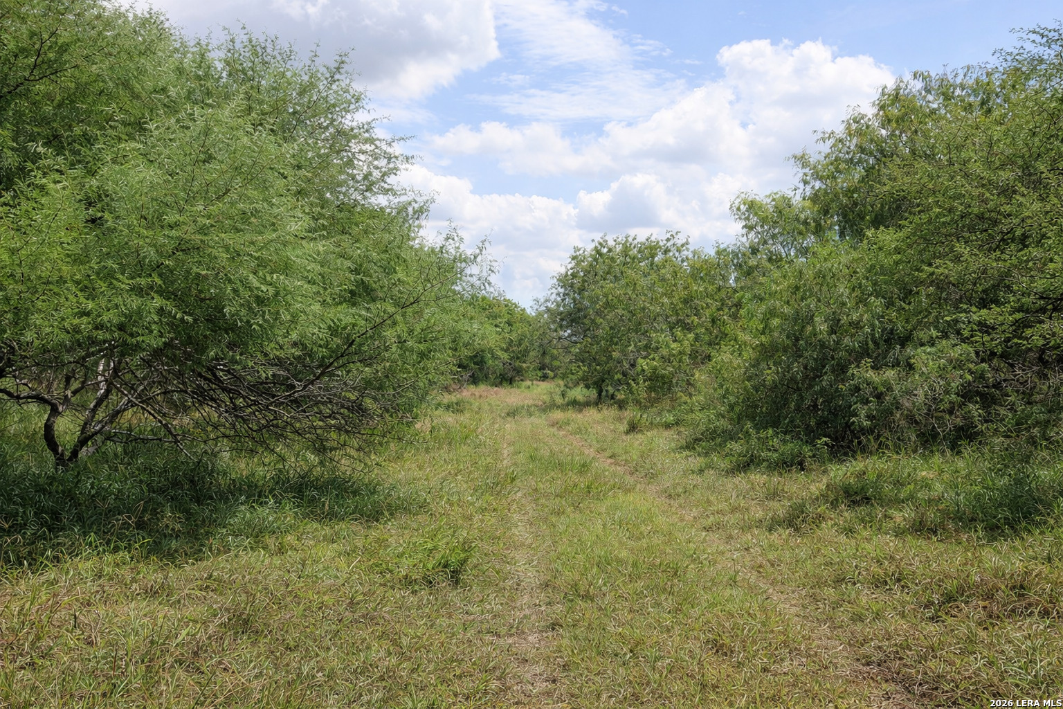 Tbd Zinnia Road Lyford, TX 78580 - Photo 4 of 10 a view of a field of grass and trees