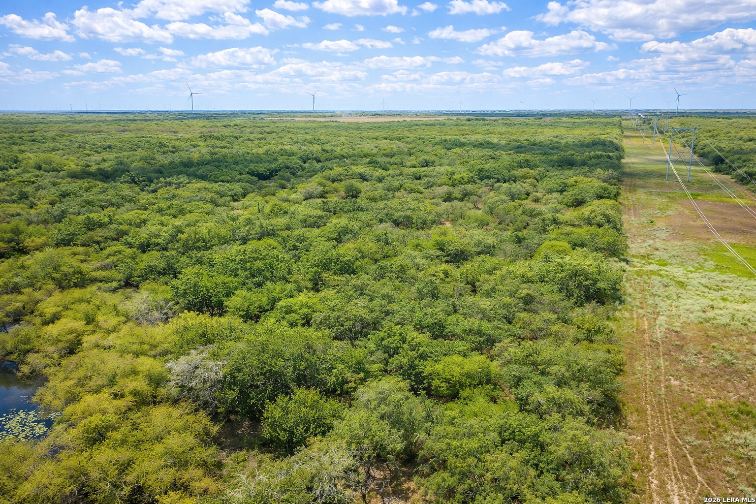 Tbd Zinnia Road Lyford, TX 78580 - Photo 6 of 10 a view of a field with an trees