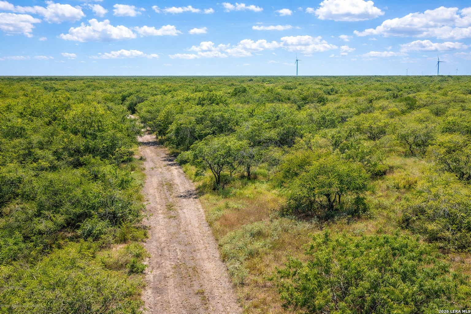 Tbd Zinnia Road Lyford, TX 78580 - Photo 7 of 10 a view of a pathway both side of yard