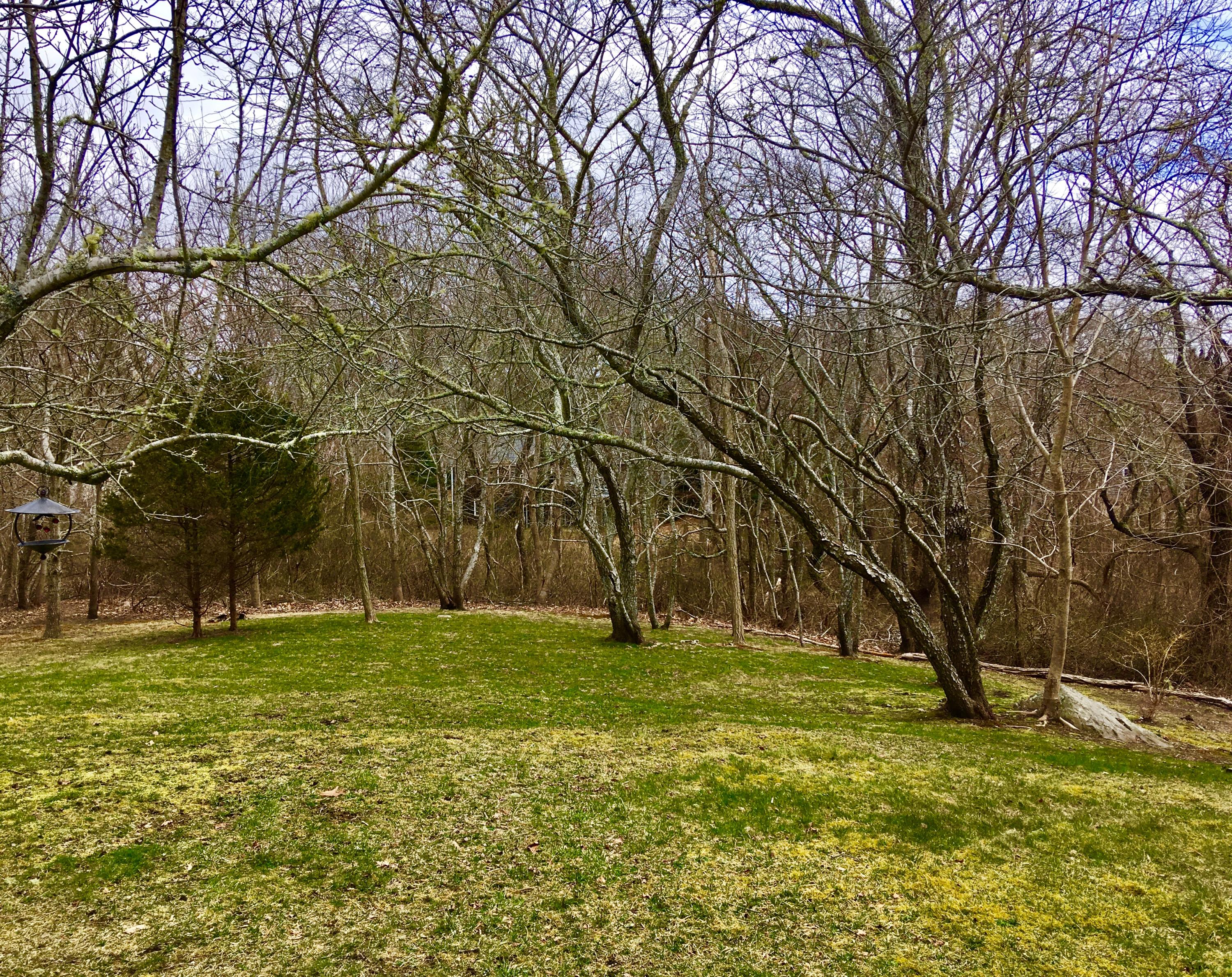 243 Tubman Road Brewster, MA 02631 - Photo 30 of 33 7EDD6B93-9348-4E5A-BDD3-6A0A6B0DDBAF