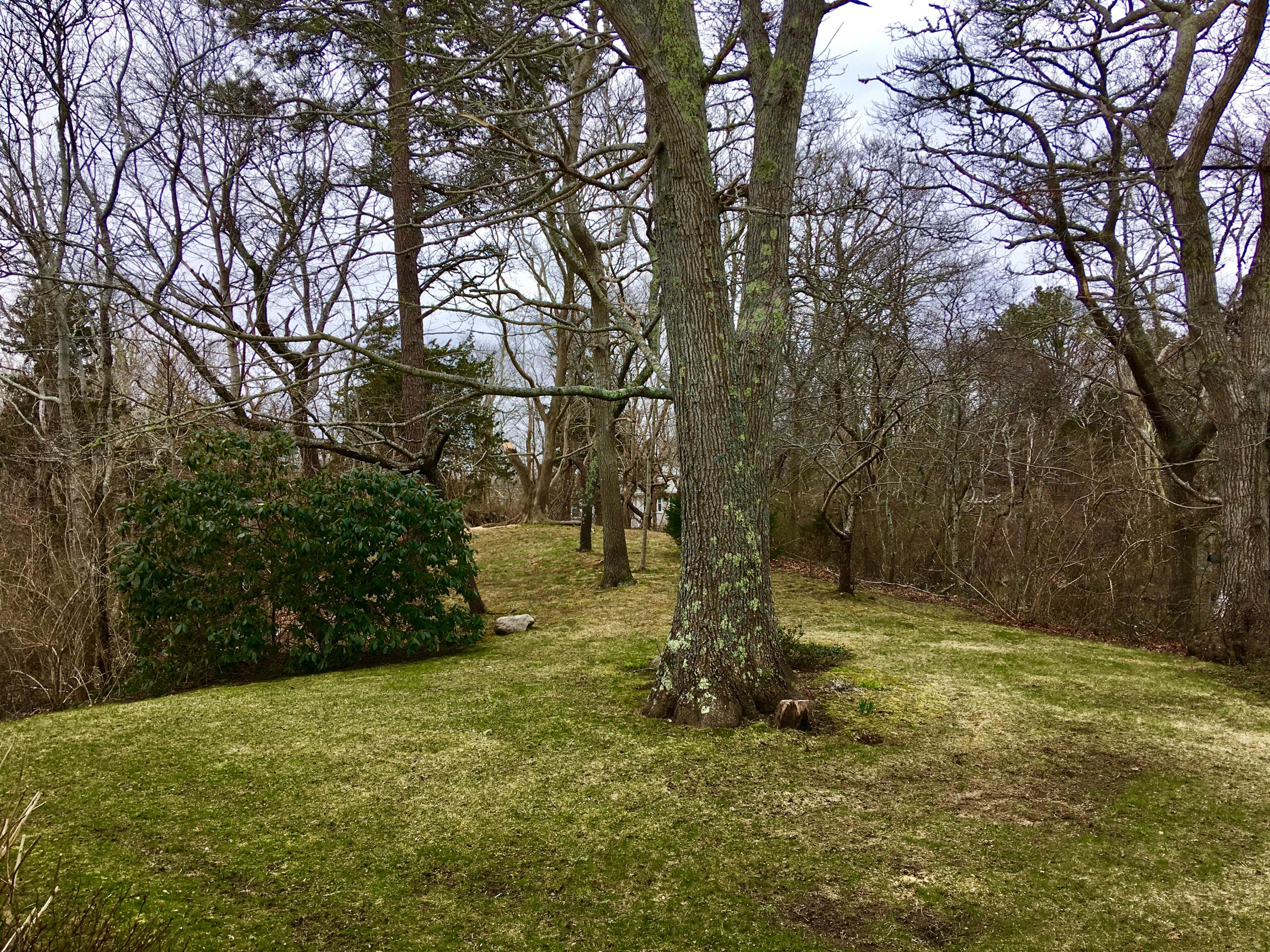 243 Tubman Road Brewster, MA 02631 - Photo 32 of 33 0B5280BF-B83A-4999-AAA5-AE5EB93C005C