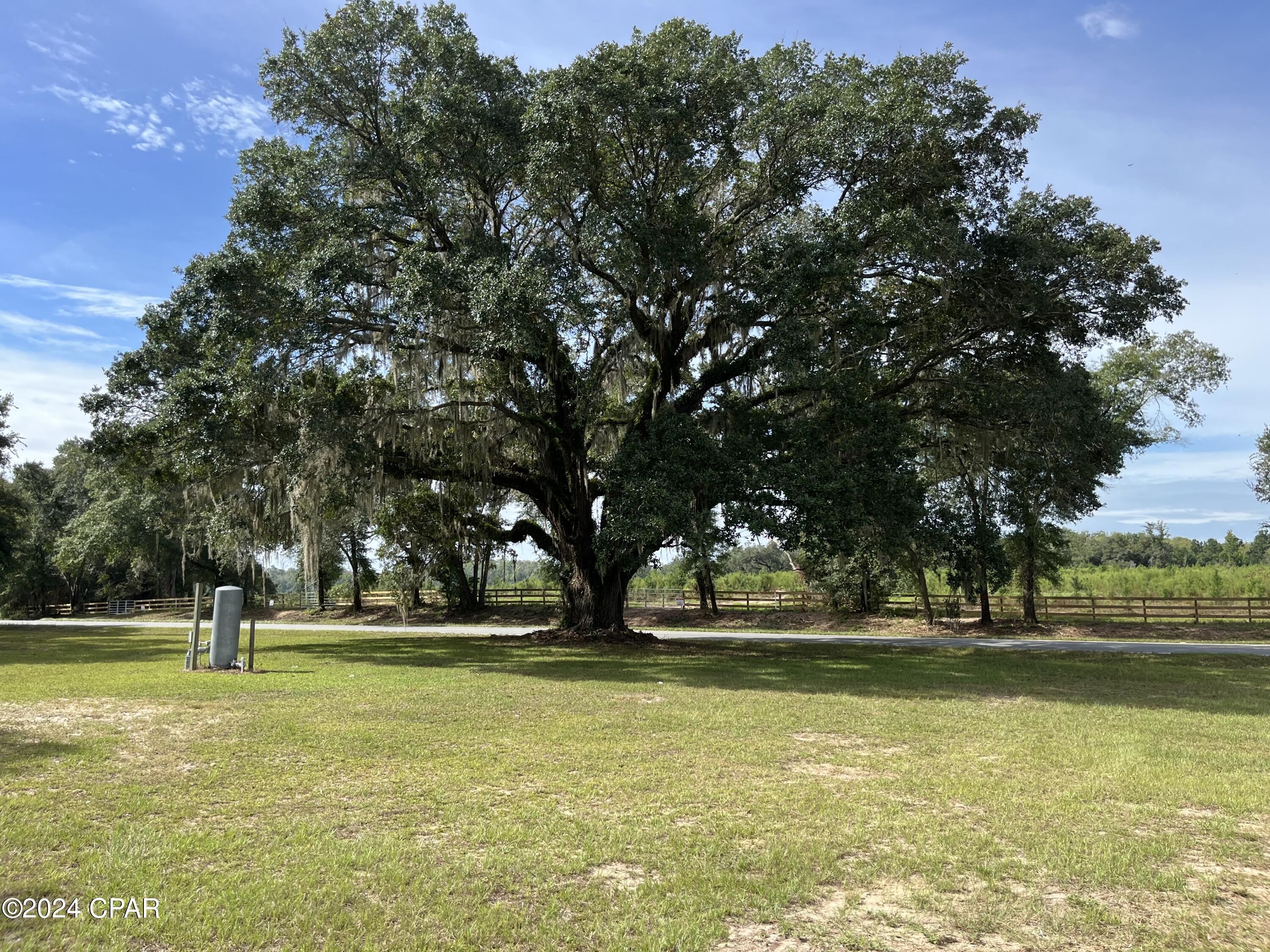 3526 Peanut Road Cottondale, FL 32431 - Photo 15 of 19