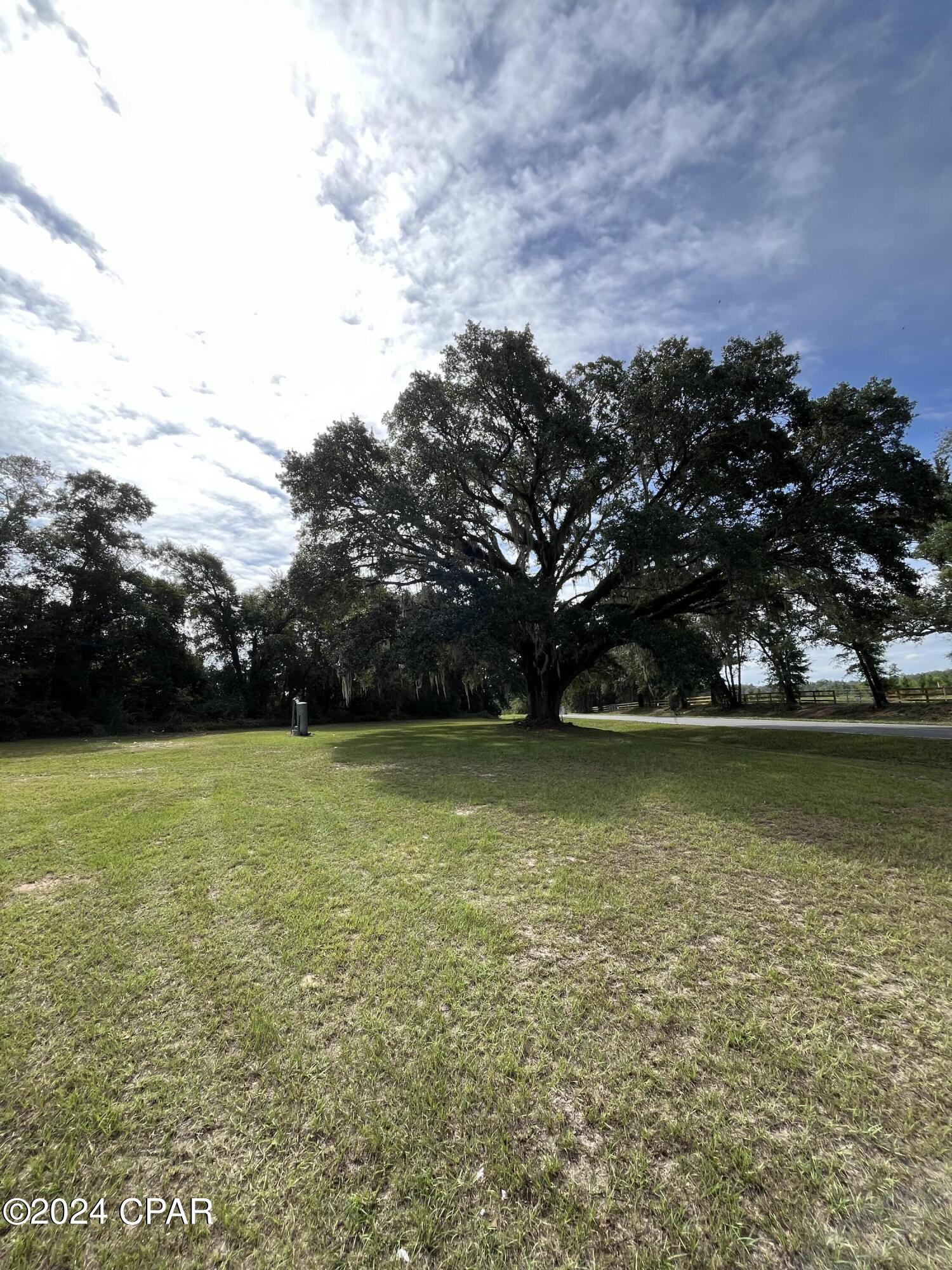 3526 Peanut Road Cottondale, FL 32431 - Photo 18 of 19