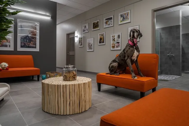 a living room with furniture and a couch