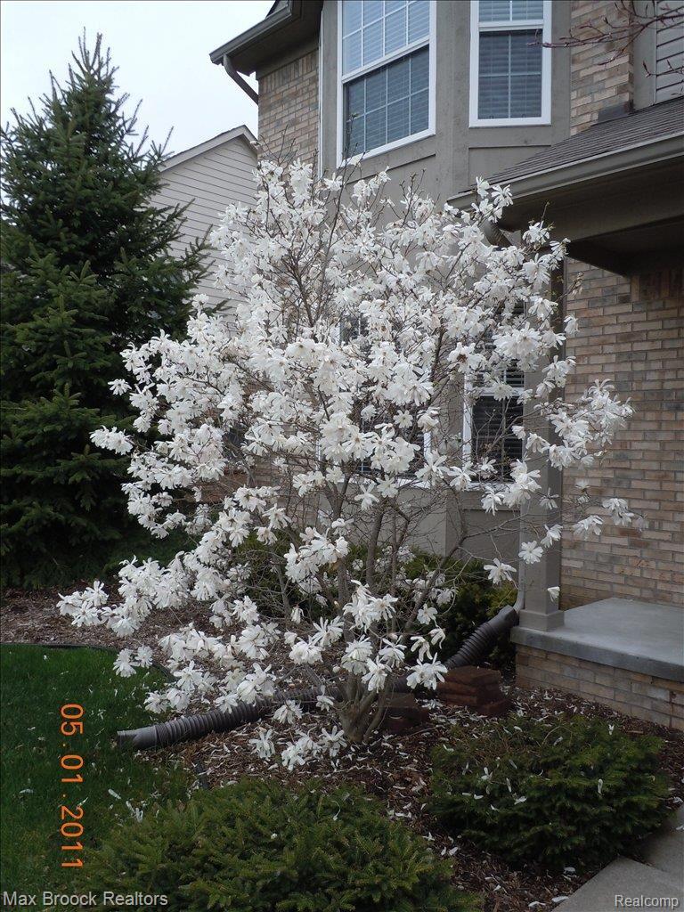 2564 Brilliance Rochester, MI 48309 - Photo 20 of 21 Blooming Trees