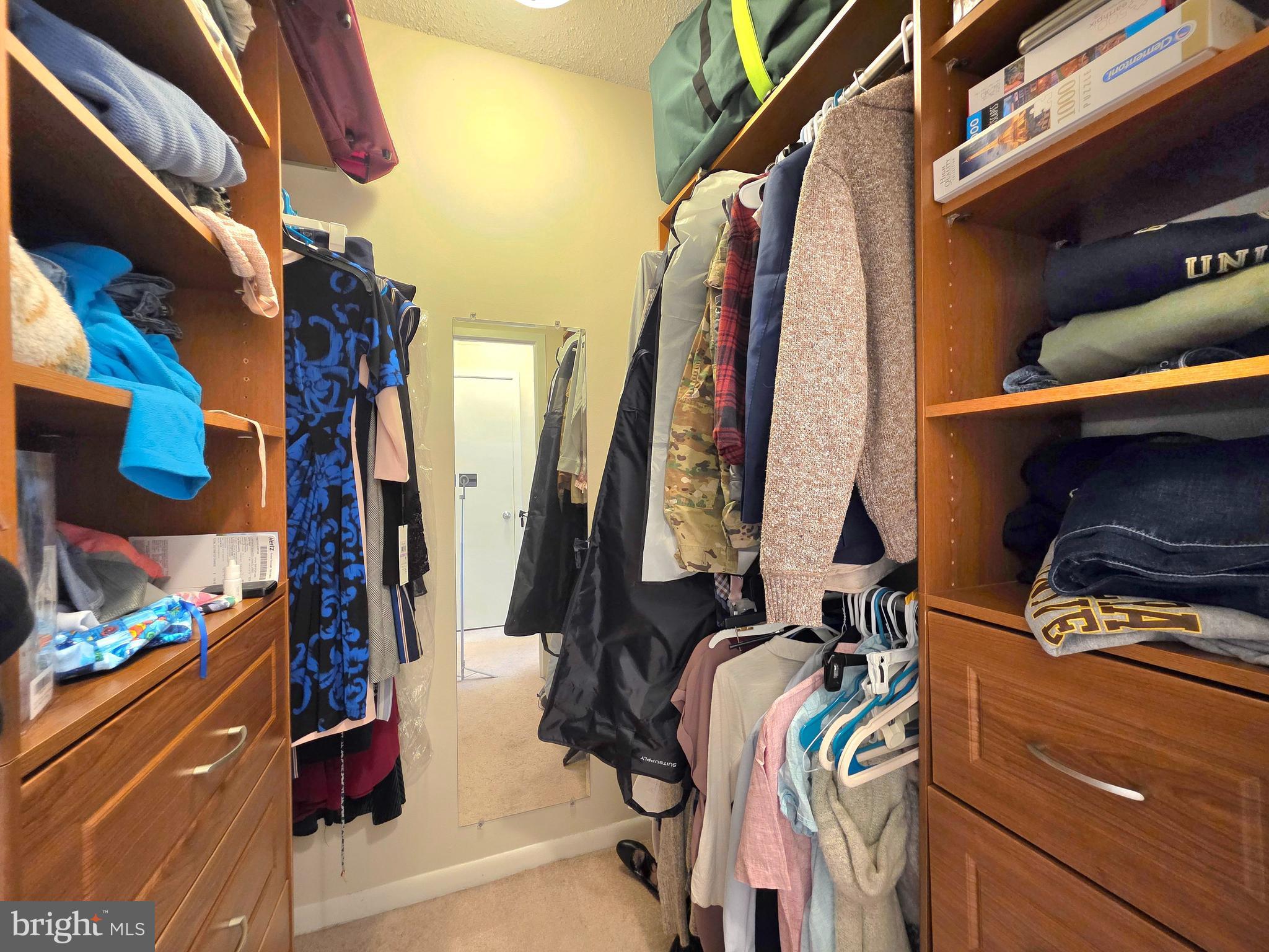 5505 Seminary Road, Unit 1817N Falls Church, VA 22041 - Photo 19 of 33 Bedroom, walk-in-closet