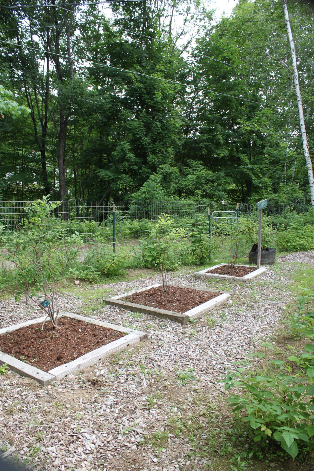 41 Barrows Road Sumner, ME 04292 - Photo 33 of 35 IMG_8487