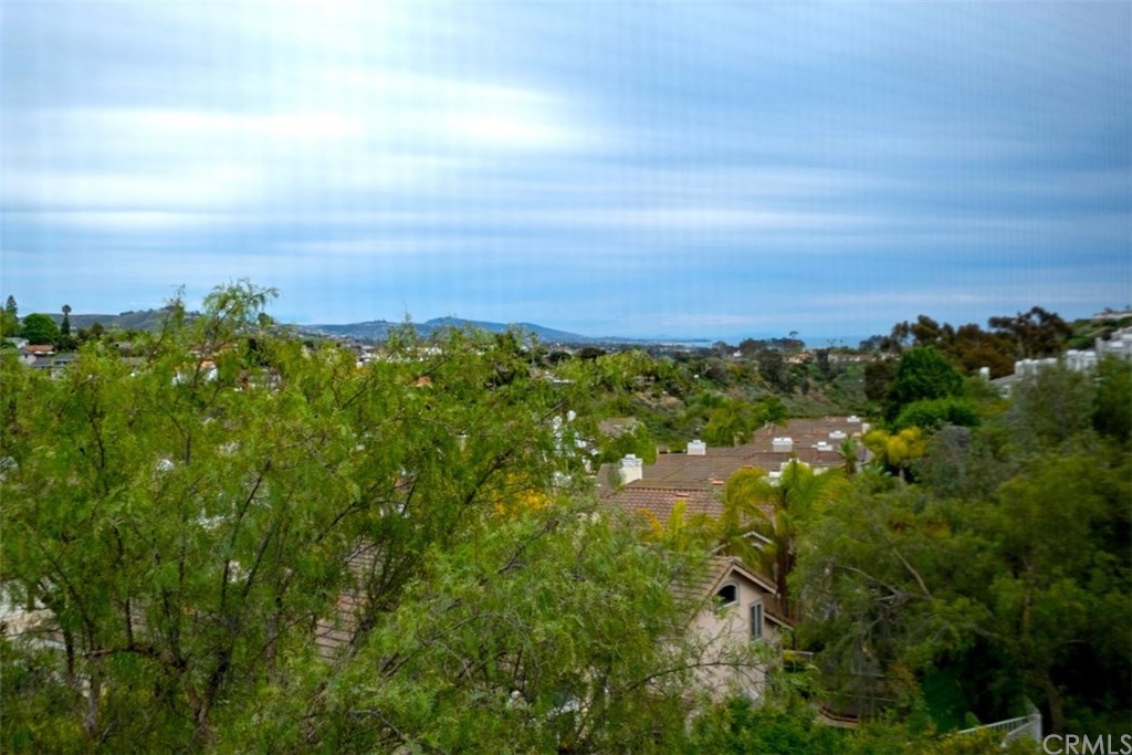 33042 Ocean Ridge, Unit 68 Dana Point, CA 92629 - Photo 1 of 1 View from Master Bedroom.