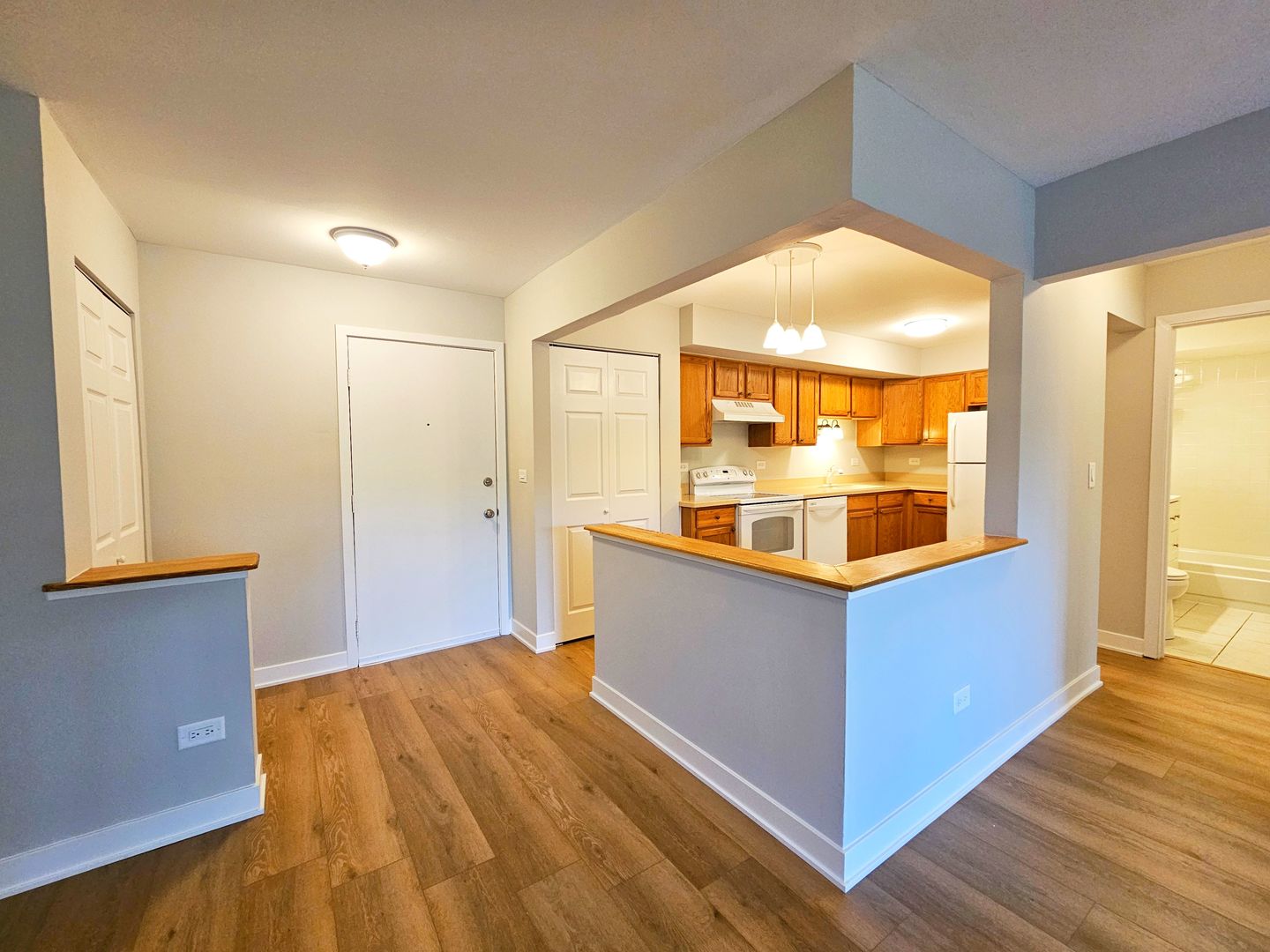 2214 South Goebbert Road, Unit 276 Arlington Heights, IL 60005 - Photo 3 of 17 a living room with a wooden floor