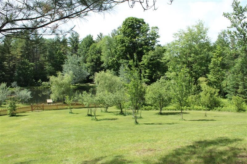 780 Branch Road West Fairlee, VT 05033 - Photo 12 of 12