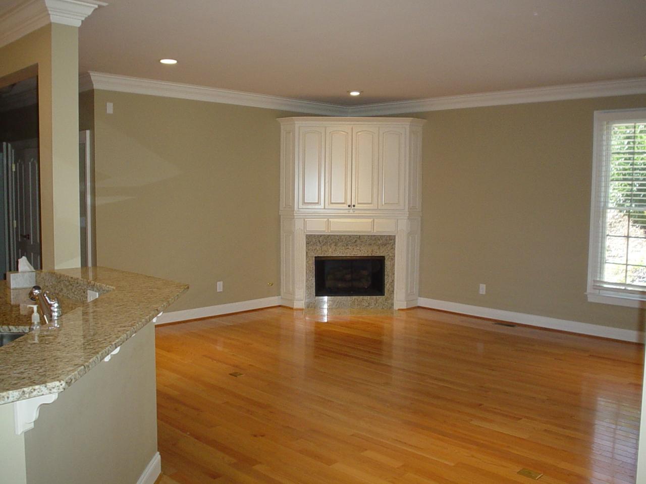 3121 Hidden Oak Road Southwest Roanoke, VA 24018 - Photo 9 of 18 Gas Fireplace