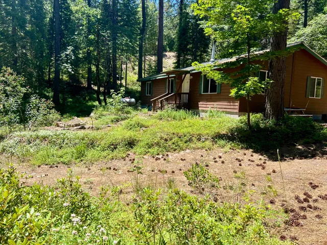a backyard of a house with lots of green space