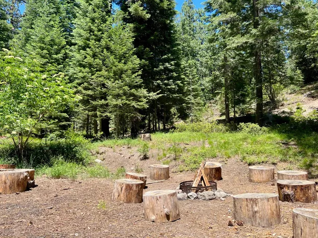 a view of a backyard with table and chairs potted plants and large tree