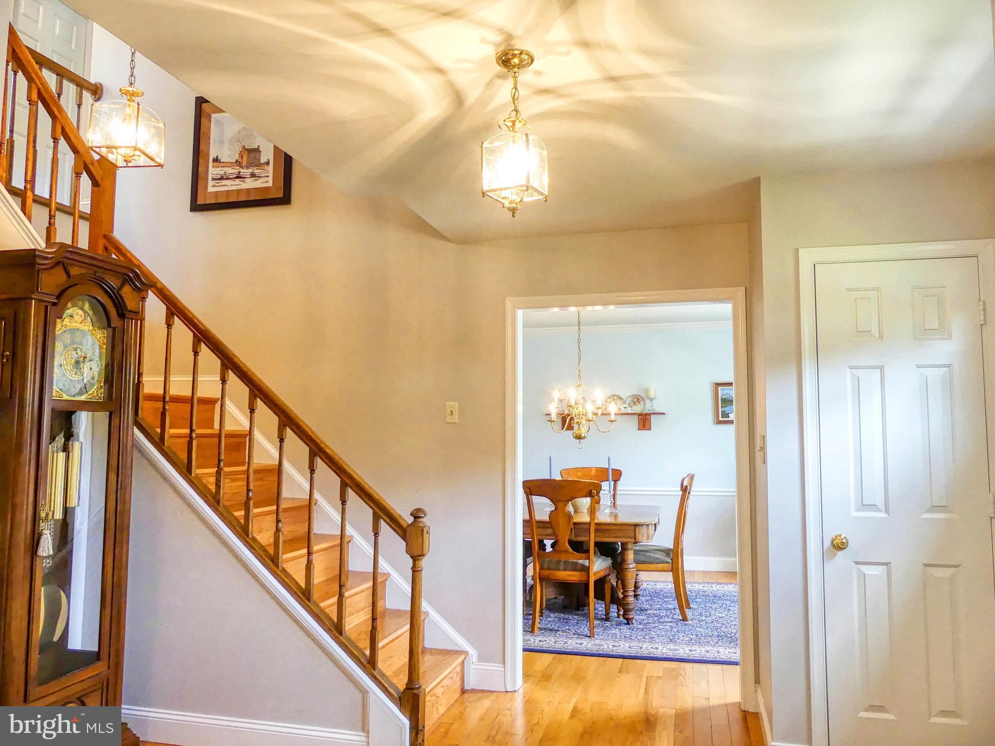 7808 Huntsman Boulevard Springfield, VA 22153 - Photo 16 of 53 View from Living Room through Foyer into Dining Rm