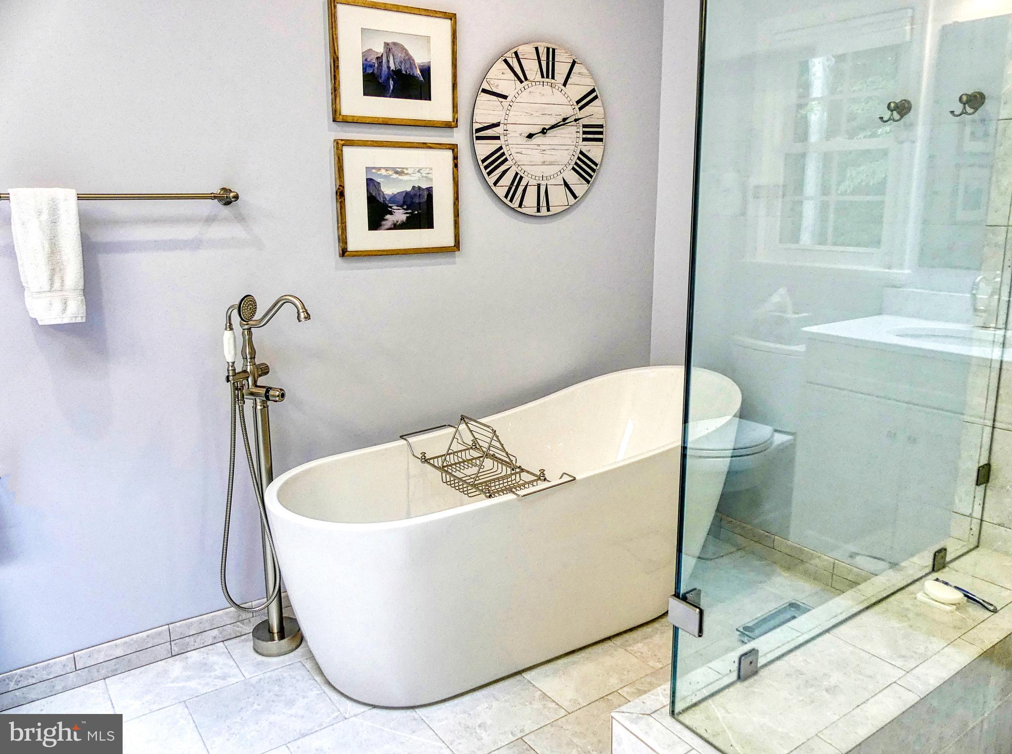 7808 Huntsman Boulevard Springfield, VA 22153 - Photo 34 of 53 Soaking Tub