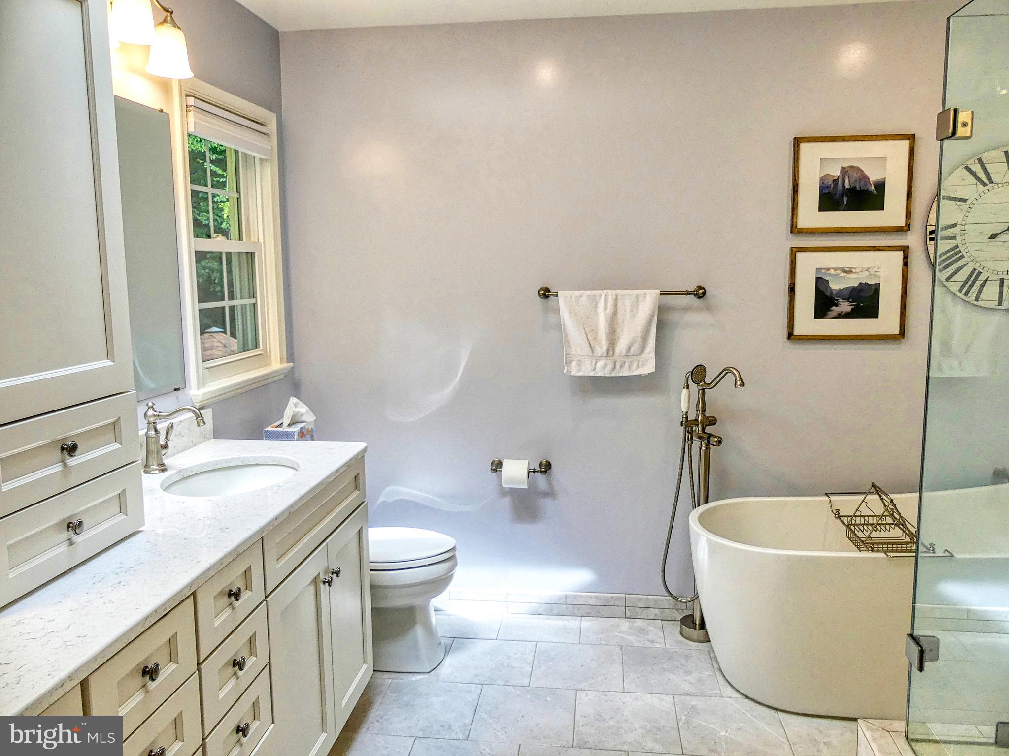 7808 Huntsman Boulevard Springfield, VA 22153 - Photo 35 of 53 Rub-a-dub-dub !