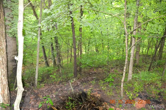 $110,000 | 0 Old Cadet Road, Bonne Terre, MO 63628