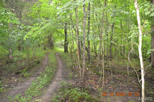$110,000 | 0 Old Cadet Road, Bonne Terre, MO 63628