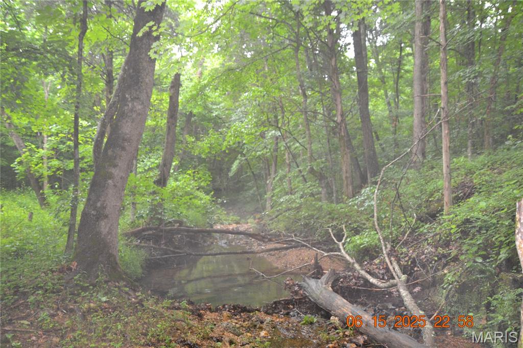 0 Old Cadet Road Bonne Terre, MO 63628 - Photo 13 of 16