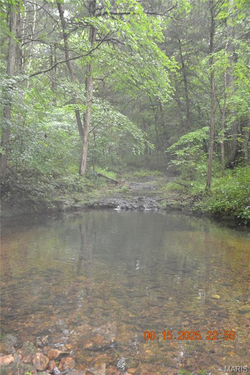 0 Old Cadet Road Bonne Terre, MO 63628 - Photo 14 of 16