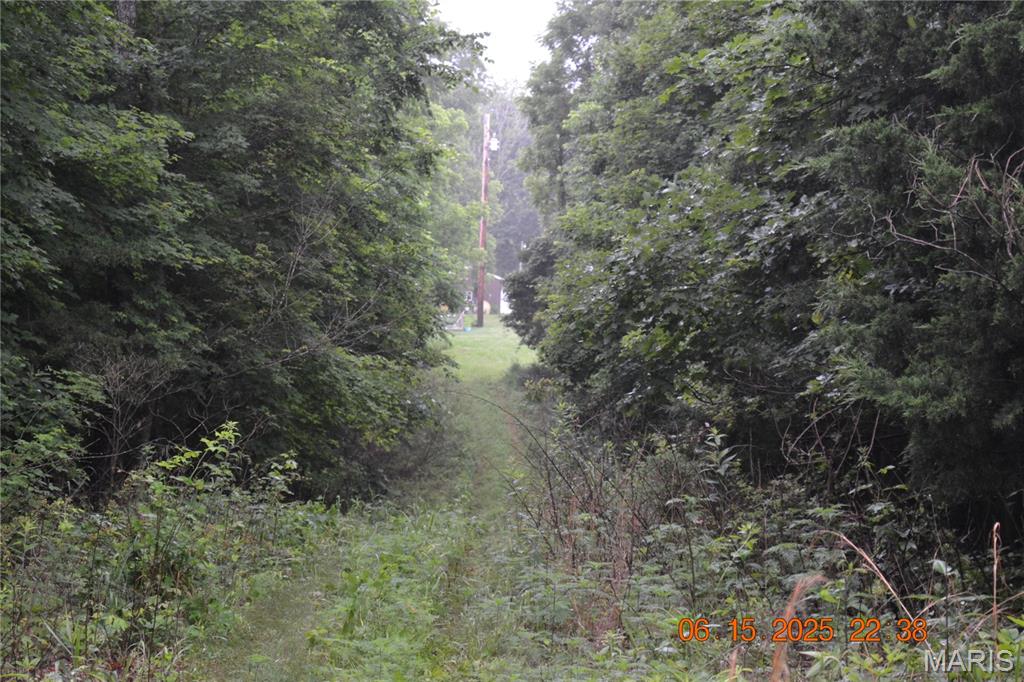 0 Old Cadet Road Bonne Terre, MO 63628 - Photo 2 of 16