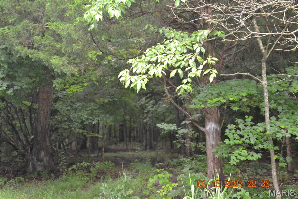 0 Old Cadet Road Bonne Terre, MO 63628 - Photo 3 of 16