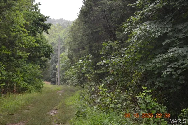 $110,000 | 0 Old Cadet Road, Bonne Terre, MO 63628