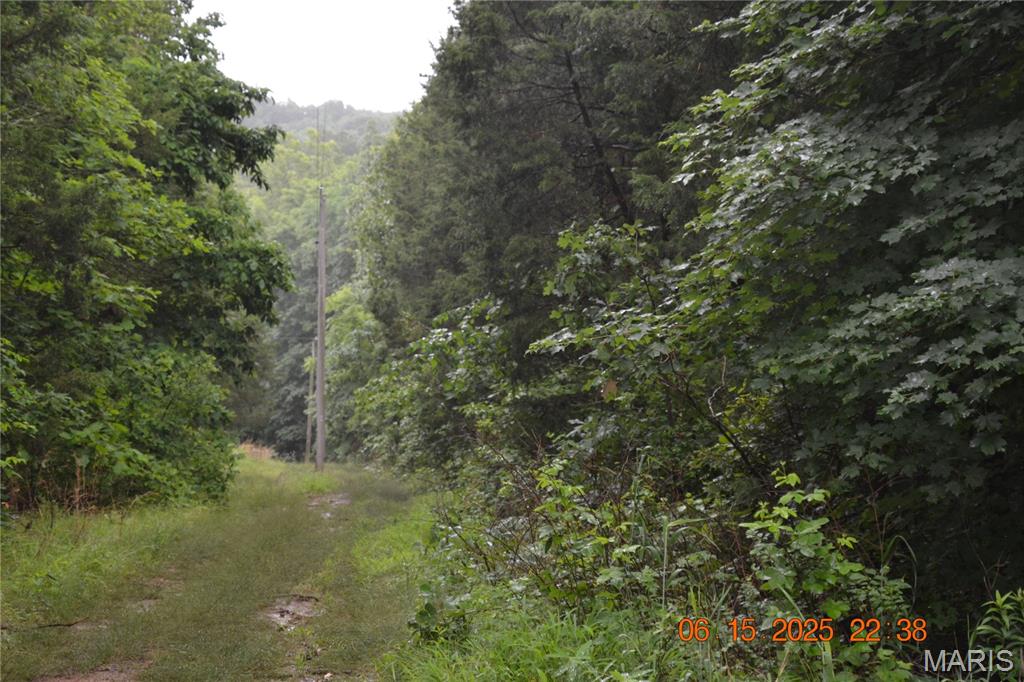 0 Old Cadet Road Bonne Terre, MO 63628 - Photo 4 of 16