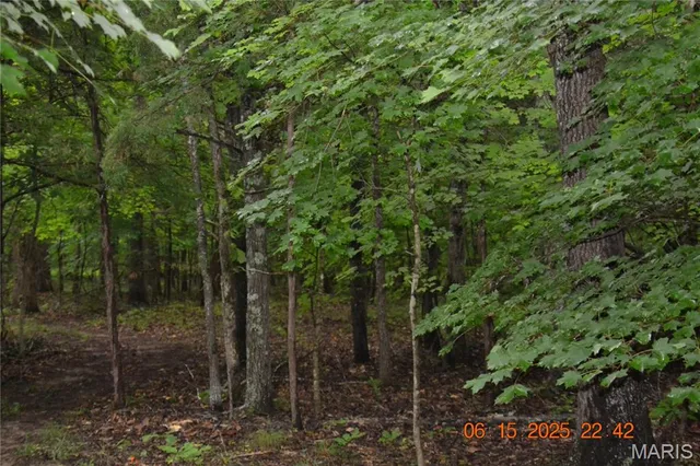 $110,000 | 0 Old Cadet Road, Bonne Terre, MO 63628