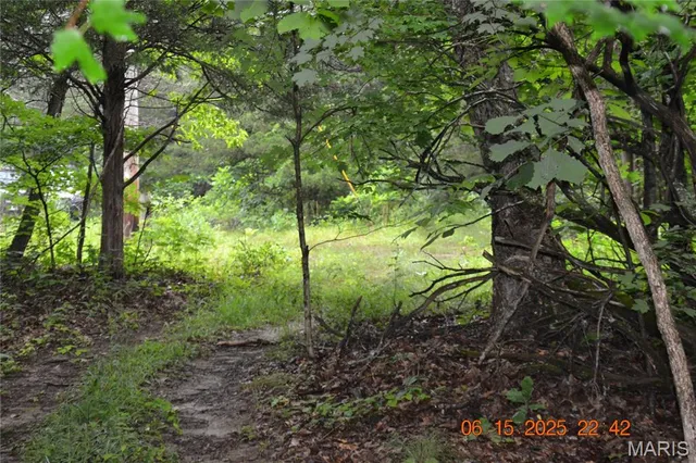 $110,000 | 0 Old Cadet Road, Bonne Terre, MO 63628