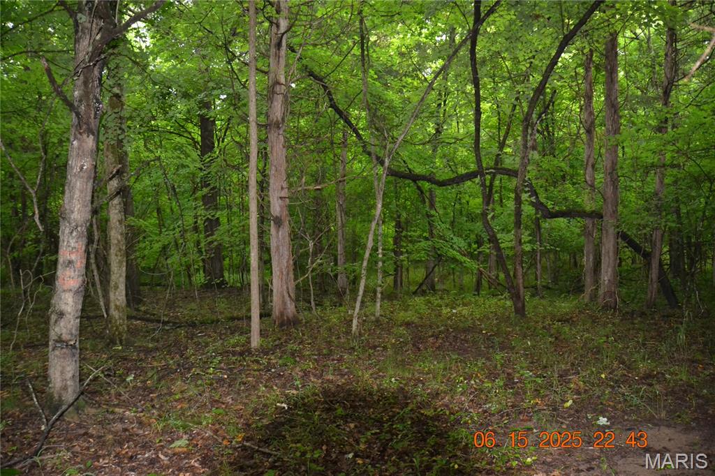 0 Old Cadet Road Bonne Terre, MO 63628 - Photo 7 of 16